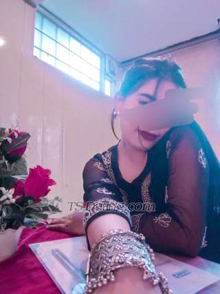 trans girl Mistresstop99 0298206 trans girl Mistresstop99 0298206