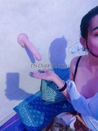 trans girl Mistresstop99 5956033 trans girl Mistresstop99 5956033