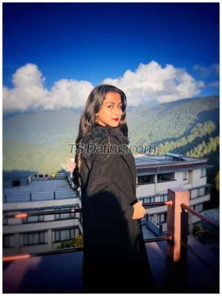 trans girl MistyRoy12 9263066 trans girl MistyRoy12 9263066