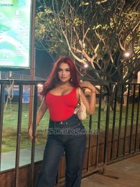 Mixy lee New Delhi Transex Hi beautiful people Please contact me on telegram only
on https://t.me/mickyning or on
https://t.me/+919366006968Or signal me on same
noLiving a fantasy sexy trans lifeEver dream
to sleep or dine out with hot trans who is as feminine , hot
n tempting as a pornstar Mixylee is here to alive your
fantasy to sleep with hot and classy tsI am looking for
a knight in shining armour who will shower me with lots of
love, cash fortune and luxury gifts n moreI m Meeting
exclusive people  with genuine plans with prior confirmation
I m Always energetic n ready to dive into ur fantasies
world n explore the wonderful moment Hosting n Meeting
with complete privacy and discreetness Start  by trying
me once and have a good company for  lifetime experience
Dont be scared to share   all your dirtiest kinks
fantasies  fetishes n more thats the way ill will transform
the dreams into reality Yes I am always clean n Fresh,
smooth n soft ,i always doll up well making sure  my sense
of styles n fashion up to date ,most importantly  my body
smell the best always n  I’m very hygienic therefore i m a
well balanced in everything As ur sexy tgirl i m always
Ready to serve you in both real life (flesh)  n  online
virtual fun satisfaction  (cam n more like audio ,chat, n
exclusive content can be bought personally with terms
)I the  sensational and most debated TS in country
here are all  the option of what all i m offering as a
service :Milf,dominant mistress,romantic gfe,kisses foreplay
roleplay ,bj ,dpthroat , edit , rim ,cim ,anal , n more as
per agreement i.e incall ,outcall for flesh meet
Perfect in both active n passive N yes  I m
up to do  anything n everything as long as the practice is
safe😉 n clean Available for traveling as ur partner
or companion with full discretion Using only
telegrameither directly call on my provided contact
