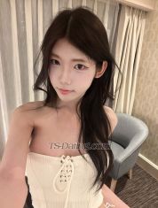 Miyomomori Causeway Bay Transex 