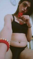 Mohini11215 Delhi Transex Group sarvice avilable💝7.5 inch big cut
dick💝I have BDSM tools💝 Chastity
cage👿💝 I have safe place💝 room
available💝 Shower 🚿💝 I have good
stamina💝 34 ass size💝 ONLY HIGH CLASS ,HIGH
PAYMENT GENUINE GUESTS & SERIOUS PEOPLE CONTACT ME ( fake ya
time passer stay away)💝💝 My nude videos
Avilable💝 Group video's Available💝 Role
play video Available💝 Bdsm session videos💝
CD session videos💝 Voice call session💝Chat
session💝 Live so session: ‭‭‭‭‭‭‭
‭‭
‭‭‭‭‭‭‭‭‭‭‭‭‭‭‭‭‭‭‭‭
‭‭‭‭‭‭‭‭‭‭‭‭‭‭‭‭‭
‭‭‭‭‭‭‭‭‭‭‭‭‭‭‭‭‭‭‭‭
‭‭‭‭ ‭‭‭‭‭‭‭‭‭‭‭‭:
‭‭‭‭
‭‭‭‭‭‭‭‭‭‭‭‭‭‭‭‭‭‭‭‭
🤜� �� ��SERVICES TO PROVIDE
💝🤛🏼(Condoms is a must)✅Lets be all
play-safe and it will benefit for all of
us🥳🙏💝I have full bdsm kit💝 Mistress
slave collection💝 Slave dresses💝CD session
dress India western dress💝 Makeup wig high
heels💝 Lingerie nighty 💋 Available💝VIRGIN
ASS EXPERIENCE (first timers)💝MASSAGE
(oil)💝TOP and BOTTOM💝GF
EXPERIENCE💝TO SUCK AND GET
SUCK💝69💝DOMINATION💝MISTREESS�
�� ��️GOLDEN SHOWER💝ASSFUCK (HARD
,SLOW)💝BODY LICKING💝STRIPTEASE💝OWO
(oral with condom ,depends after i check
😉)💝ROLEPLAY💝ORAL SEX💝COB (come on
Body)💝CUM FACIAL💝BOOB
CUMS💝ENSLAVING💝SLOPPY BLOWJOB💝FETISH
CLOTHES (satin,fishnets,
leather,pants,tightdress,skirts)💝HEELS
fetishPhotos contact - 8929909540