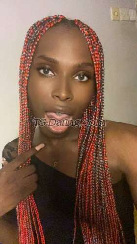 trans girl Molara 3936954 trans girl Molara 3936954