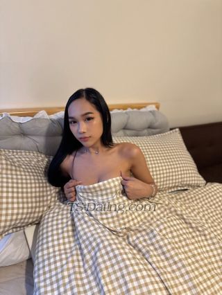 trans girl MollyPretty 3073248 trans girl MollyPretty 3073248