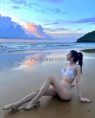 trans girl Monla99 3648048 trans girl Monla99 3648048