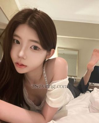 trans girl Montfercia 7997683 trans girl Montfercia 7997683