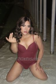 MsNatasha Kuala Lumpur Transex Sensual Pretty Sexy TOP and BOTTOM Ladyboy Offering all kind of Services...
===FETISHES AND BDSM===
Mistress and Slave kneel and Worship and Tied Up and Be Punished
BONDAGE / BDSM
SISSY TRAINING / FEMENIZATION / Dress Up
Transformation and Make Up
Rape Prostate
Spanking / Slapping / Tickling
Be my Pet DOG / My Fucking HORSE GOLDEN SHOWER (give and recieve
Kneel and Worship to my FEET / HEELS / COCK / ASS /
ARMPIT/
Humiliating
KINKY ROLEPLAY
SPITTING (give and recieve)
CAPPING
CHASTITY
Fisting and Dildo Play

Hi, my name is Natasha a sweet loving girl from Manila, Philippines. I do service that will make your fantasies turn into reality. I'm well mannered girl, decent and clean. With Juicy Big Dick and Tight Nice Ass  . I'll do a girlfriend experience and sweet things in bed. We can get along together and i won't let you down to have me.
Open minded
→ dont be shy to tell me your fantasies.
Im down for whatever u want baby
If you're looking for someone who's good in bed with good personality don't hesitate to chat me
WATSAPP: +63 995 FOUR 49 319 SEVEN  
TELEGRAM : @NatashaGailSmith