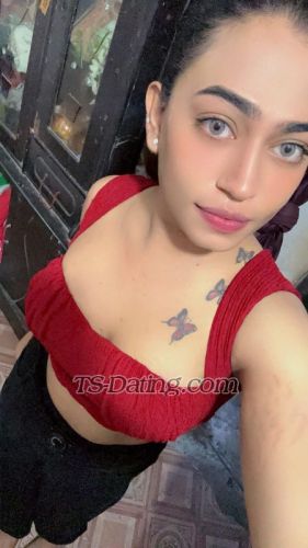 trans girl Mussu 7984386