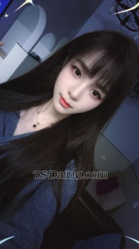 trans girl minababy520 2806596