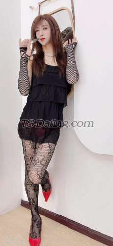 trans girl missdu 2560303 trans girl missdu 2560303