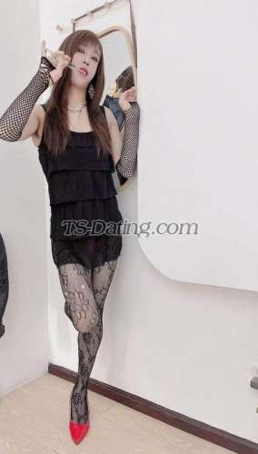 trans girl missdu 2560358 trans girl missdu 2560358