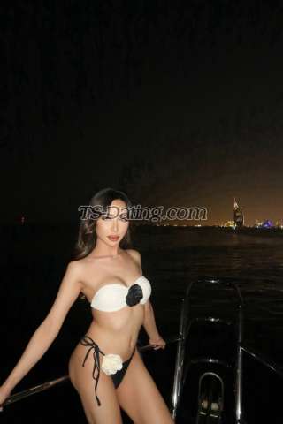 trans girl missylove 4331367 trans girl missylove 4331367