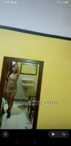 mita21 Bandung Transex Iam shemale swety U want to meet meI have big
cockI have service oral,anal,licking and
kissing+6289528444809