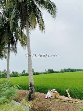 trans girl NADIA2015 4077018 trans girl NADIA2015 4077018