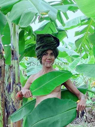 trans girl NADIA2015 4077178 trans girl NADIA2015 4077178