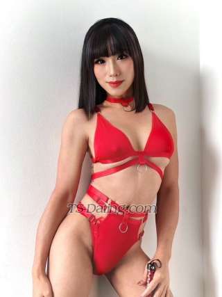 trans girl NATALIEVIP 9799509 trans girl NATALIEVIP 9799509