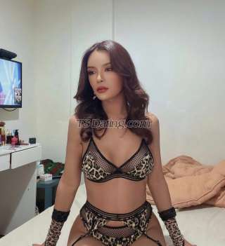 trans girl NATTACHA 3947859