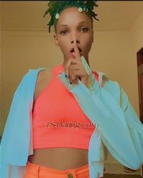 Nakato Nairobi Transex Hello there,my name is vicky…am brown skin trans woman who
will explore all your fetishes and fantasies…if you need
me am in both in Uganda and Kenya 