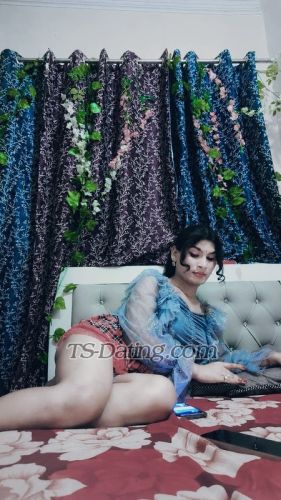 trans girl Nancynandini 7149954 trans girl Nancynandini 7149954