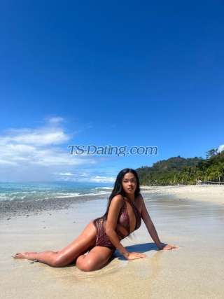 trans girl NastyBitch 4352641