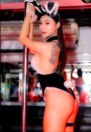 Natty51 1623597 Natty51 1623597