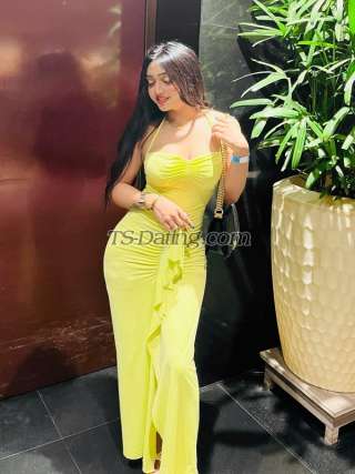 trans girl Neha1234 6251540 trans girl Neha1234 6251540