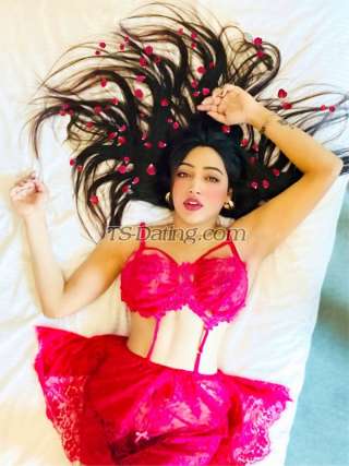 trans girl Neha1234 8365128 trans girl Neha1234 8365128