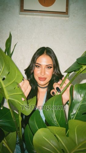 trans girl Nessimmjk 9309815 trans girl Nessimmjk 9309815