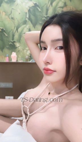 trans girl Nichaaa 3235665