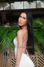 Nicloe5518 Phuket Transex Hi👋🏼  I am based in Phuket now 📍
My tall  176 cm. weight 56 kg. I got 5 inche
I am a classy elegant ts escort, if you are interested in sexy feminine I have the same body and appearance as in the picture and in real 💯 %. I would’ve to make you comfortable and great experience.
I can be Active-Passive, and I also can cum for sure.
Online payment Available ✅
•Wise
•PayPal 
✅Available for incall&Outcall
❌ No joke ❌ No fake client ❌ I don’t send nudes pic, don’t ask for that.
📍Pls text me for make appointments before meet up.

MY RATES💵
Incall= 5,000baht /200 dollars per hour 
Outcall= 10,000 baht/400 dollars per hour

Contacts  📥
WhatsApp: +66933742394
