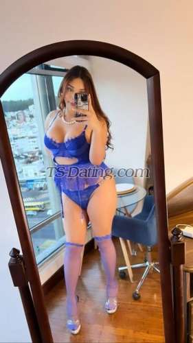 trans girl NicoleMazzil 7137940 trans girl NicoleMazzil 7137940