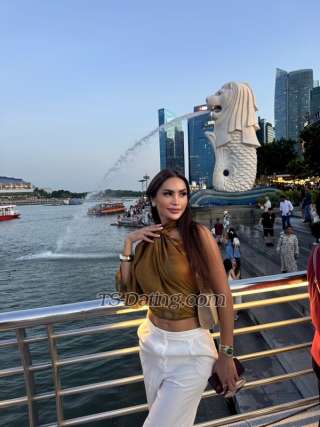 trans girl Nicolebarajas 1935547 trans girl Nicolebarajas 1935547