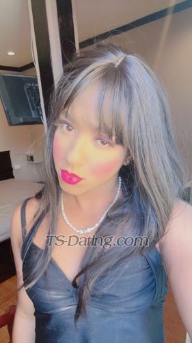 trans girl Nicolebrazili 5594439 trans girl Nicolebrazili 5594439
