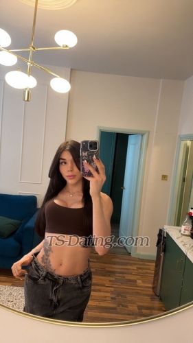 trans girl Nicolelima 2500135 trans girl Nicolelima 2500135