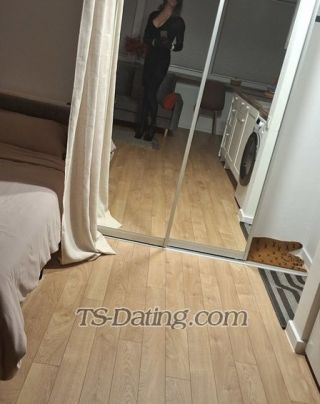 trans girl NicolleHorny 9396616 trans girl NicolleHorny 9396616