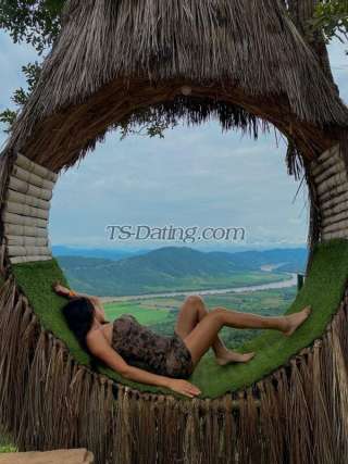 trans girl NicolleSweet 6044190