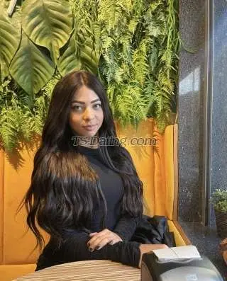 Shemale Nicollylins 2558895 Shemale Nicollylins 2558895