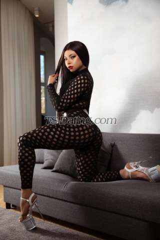 trans girl Nicollylins 5245446 trans girl Nicollylins 5245446