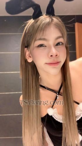 trans girl Nikasohahott 7116748 trans girl Nikasohahott 7116748