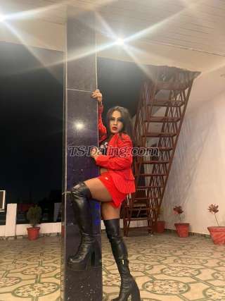 trans girl Nikiminhaz 1262385 trans girl Nikiminhaz 1262385