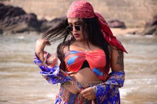 trans girl Nikiminhaz 4220033