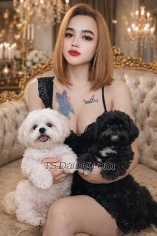 trans girl Nikitaclaudy 6710173 trans girl Nikitaclaudy 6710173