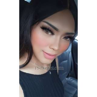 trans girl Nikitanunn 0449556 trans girl Nikitanunn 0449556