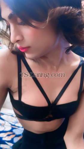 trans girl Nikki241 0553585 trans girl Nikki241 0553585
