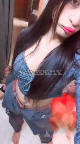 trans girl Nikki241 2886123 trans girl Nikki241 2886123