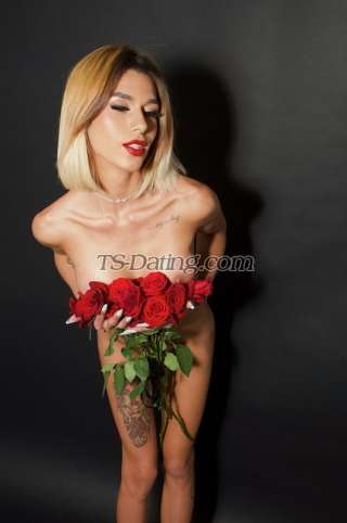 trans girl NinaBitth 1253512 trans girl NinaBitth 1253512