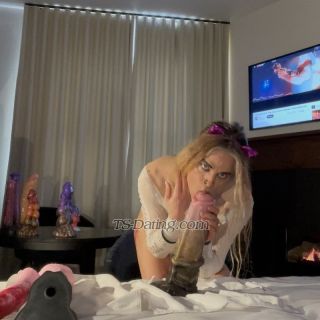 trans girl NinaFox 1715979 trans girl NinaFox 1715979