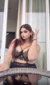 Normi arora Gurgaon TS escort 