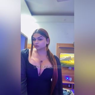trans girl Normiarora 1342808 trans girl Normiarora 1342808