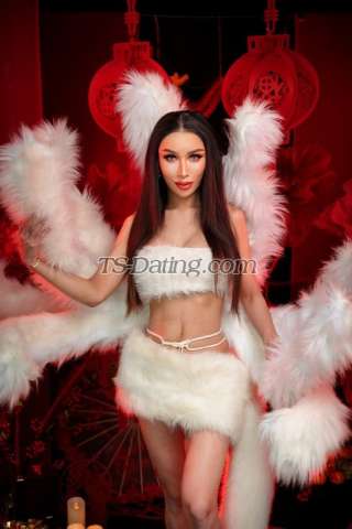 trans girl NorskTrans 8565019